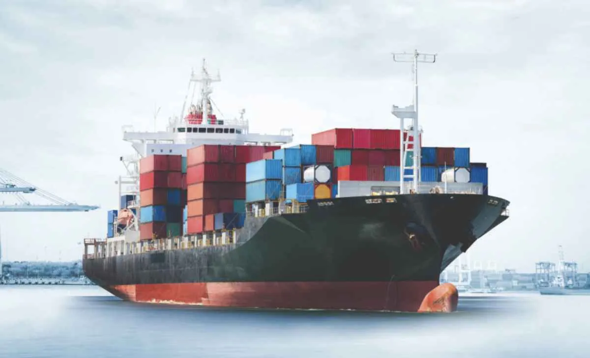 Exportações de frango caem 6,5% e totalizam 434,9 mil t em novembro