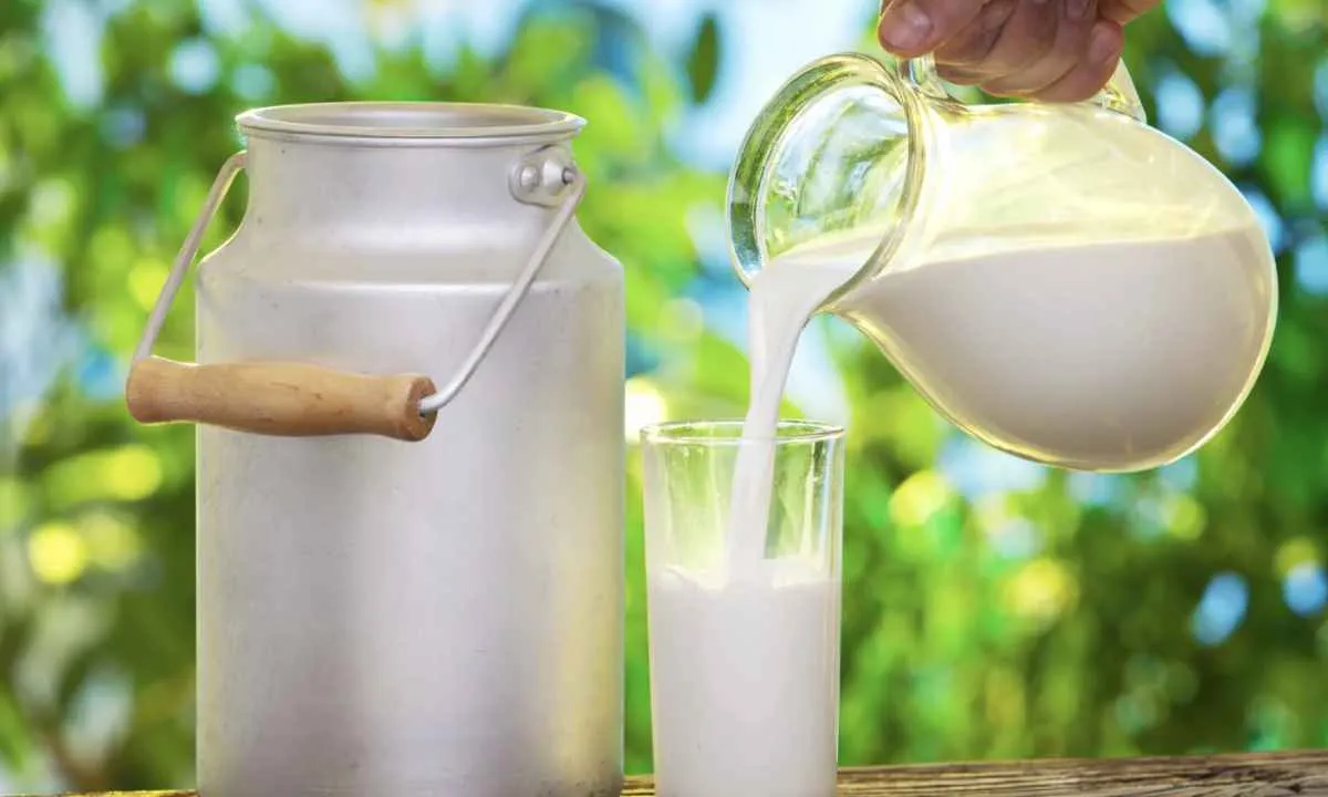 Maior oferta derruba preços do leite e aperta margens em 2025