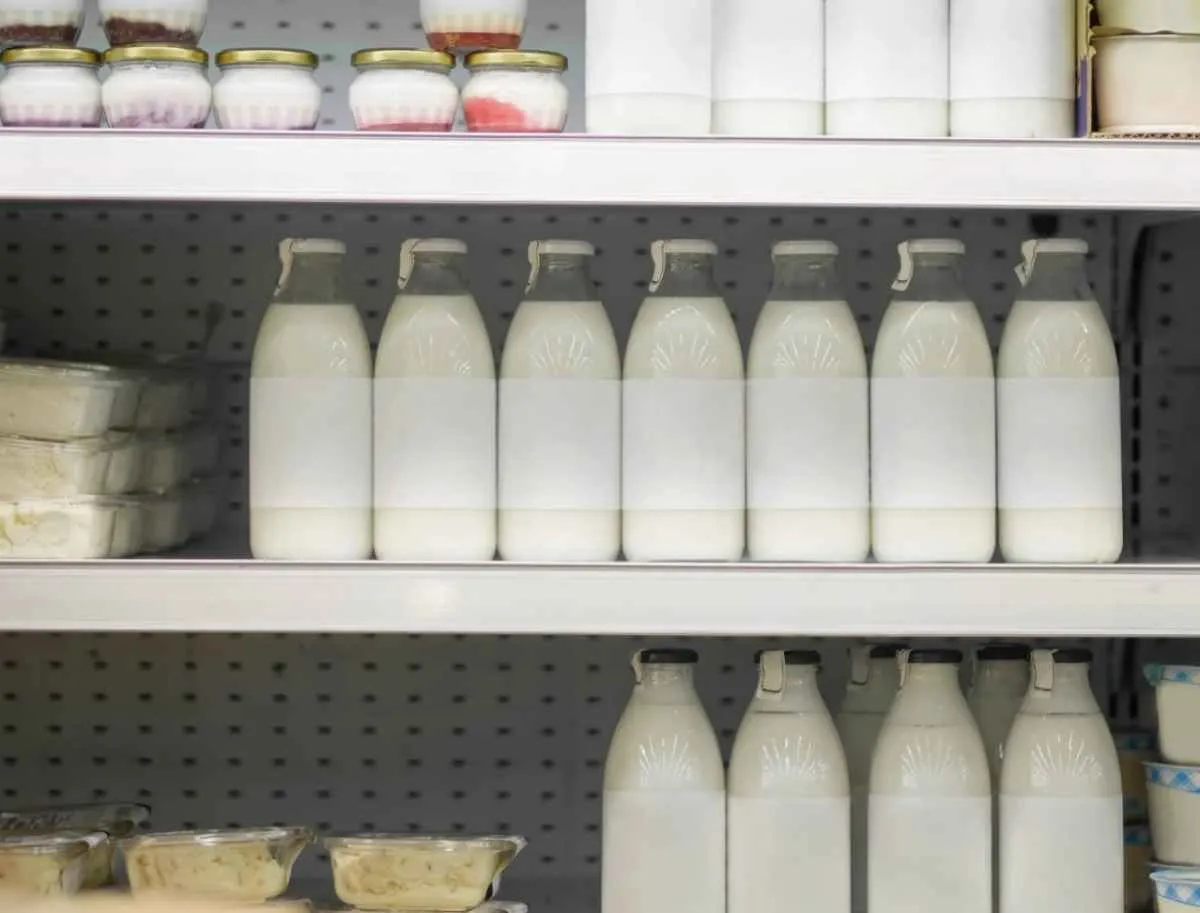 Preço do leite acumula oito meses de queda no campo