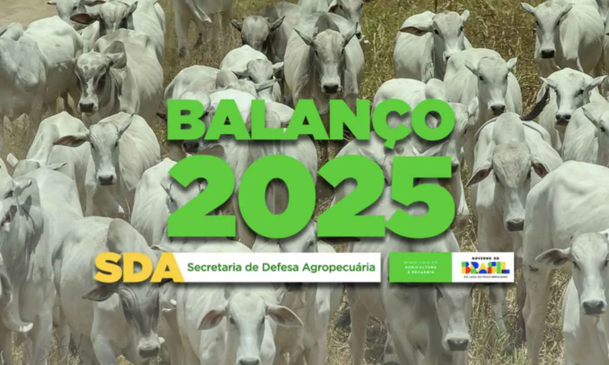 Brasil consolida liderança sanitária ao alcançar status histórico na pecuária