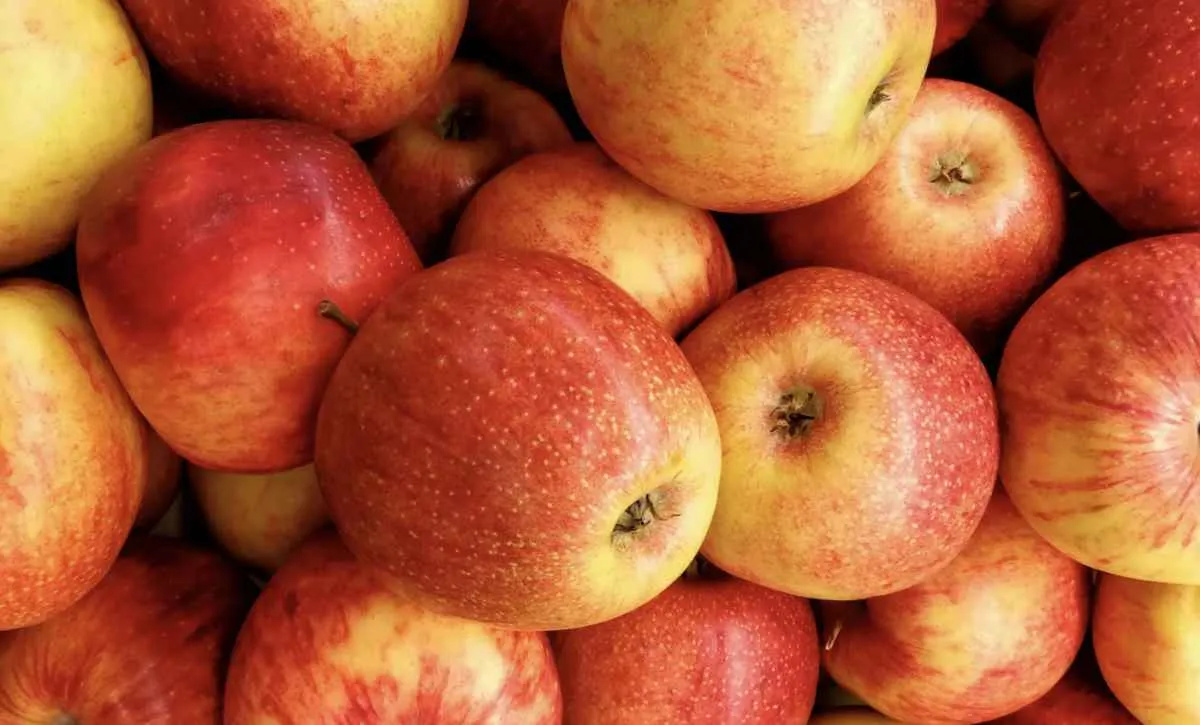 Menor oferta mantém alta nos preços da maçã