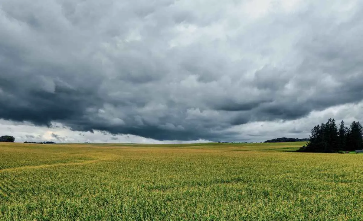 Previsão do tempo para terça-feira (02/12) no Brasil