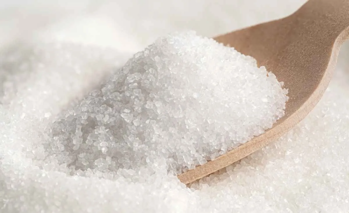 Preços do açúcar cristal recuam no início de dezembro