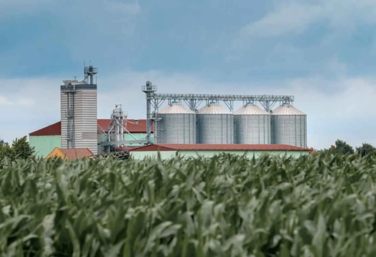 Crédito para investimento agrícola avança 26% em MS em novembro
