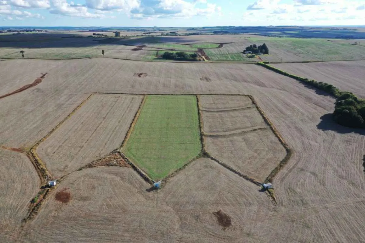 Terraços reduzem perda de água no solo na produção de grãos