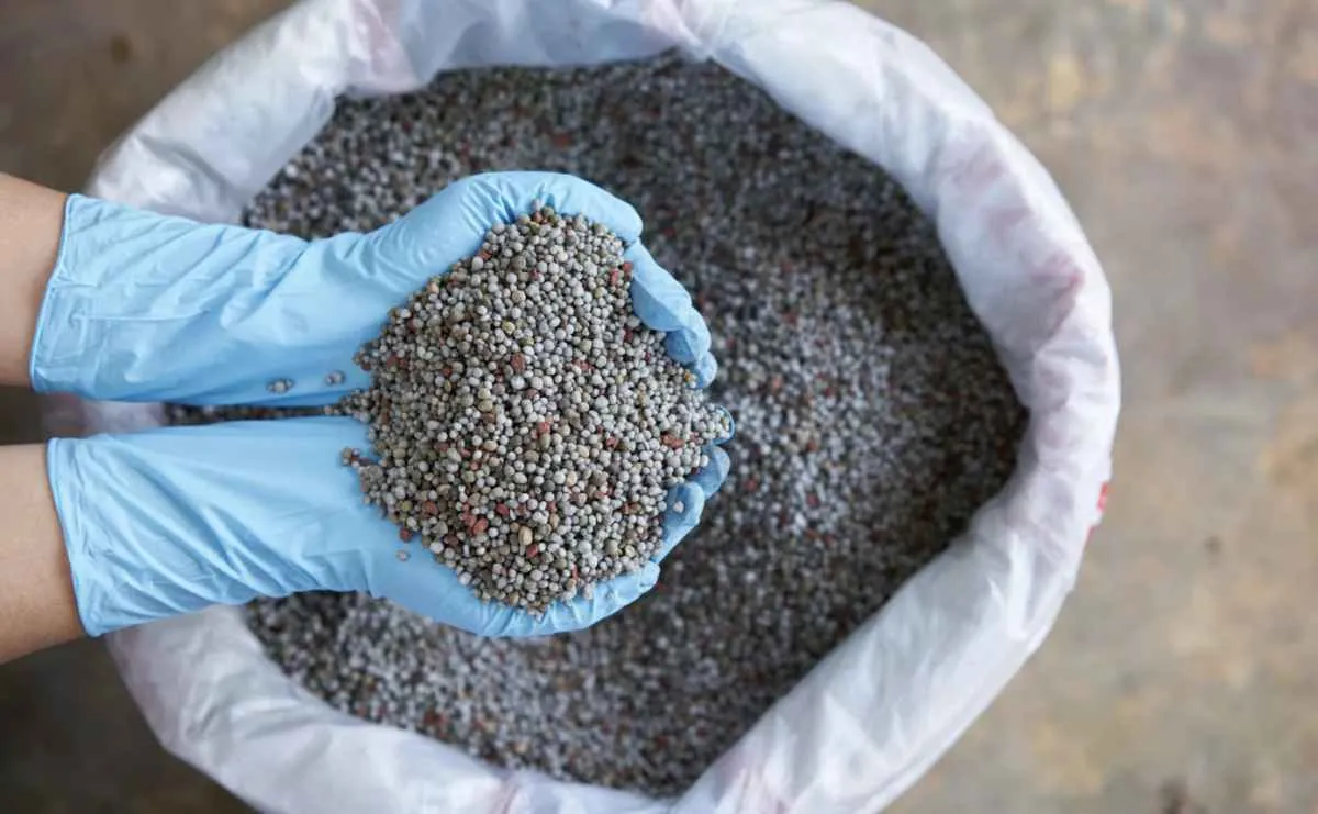 Entrada de fertilizantes bate recorde e supera 41,7 mi de ton em 2025