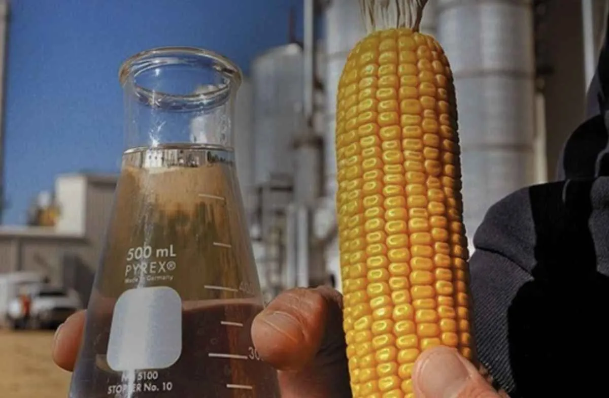Produção de etanol de milho avança e pressiona biomassa