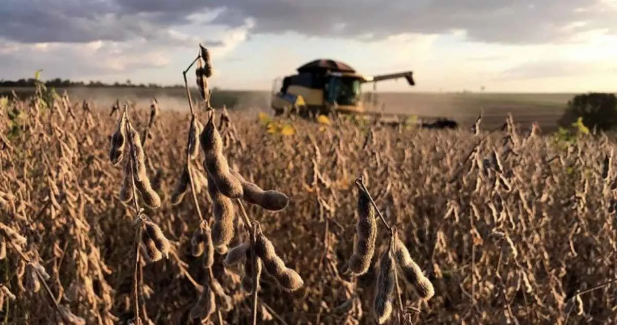 Aprosoja Brasil reage a corte de incentivos e alerta para impacto no agro