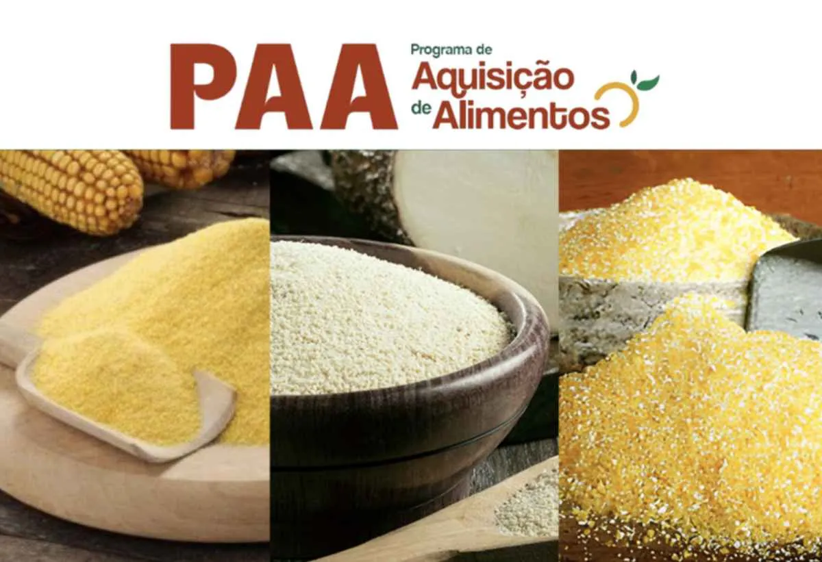 Conab divulga classificação final das propostas de venda