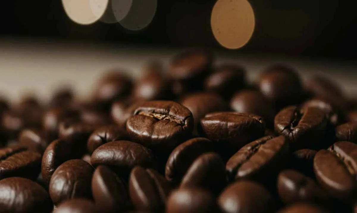 Suspensão de tarifas alivia o café, mas preços seguem firmes