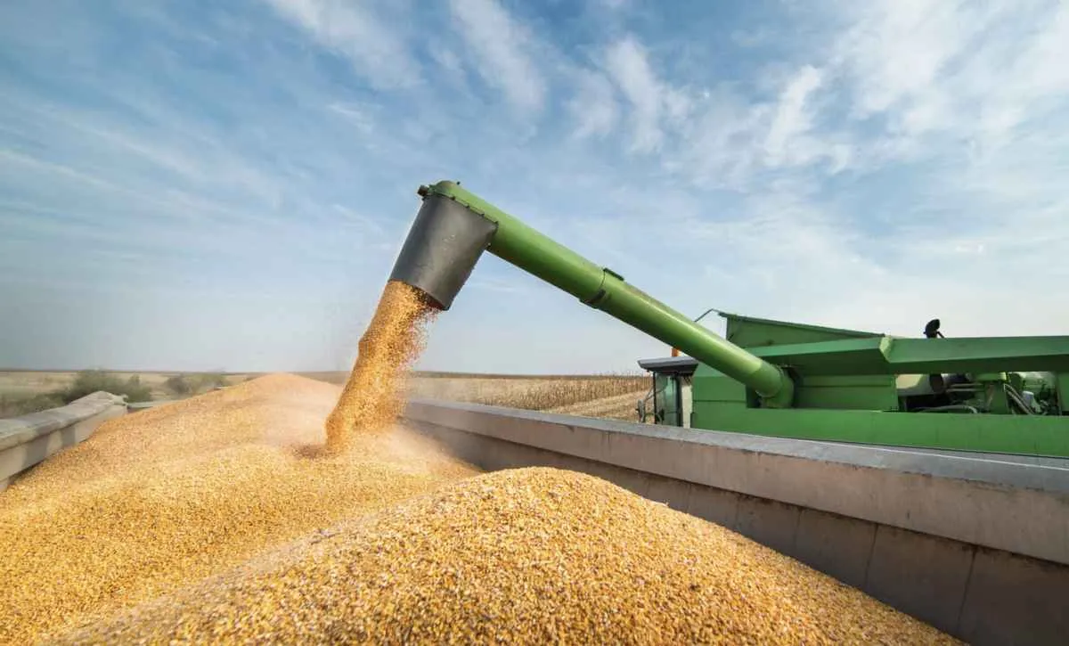 Safra 2025/26 deve alcançar 354,4 milhões de toneladas