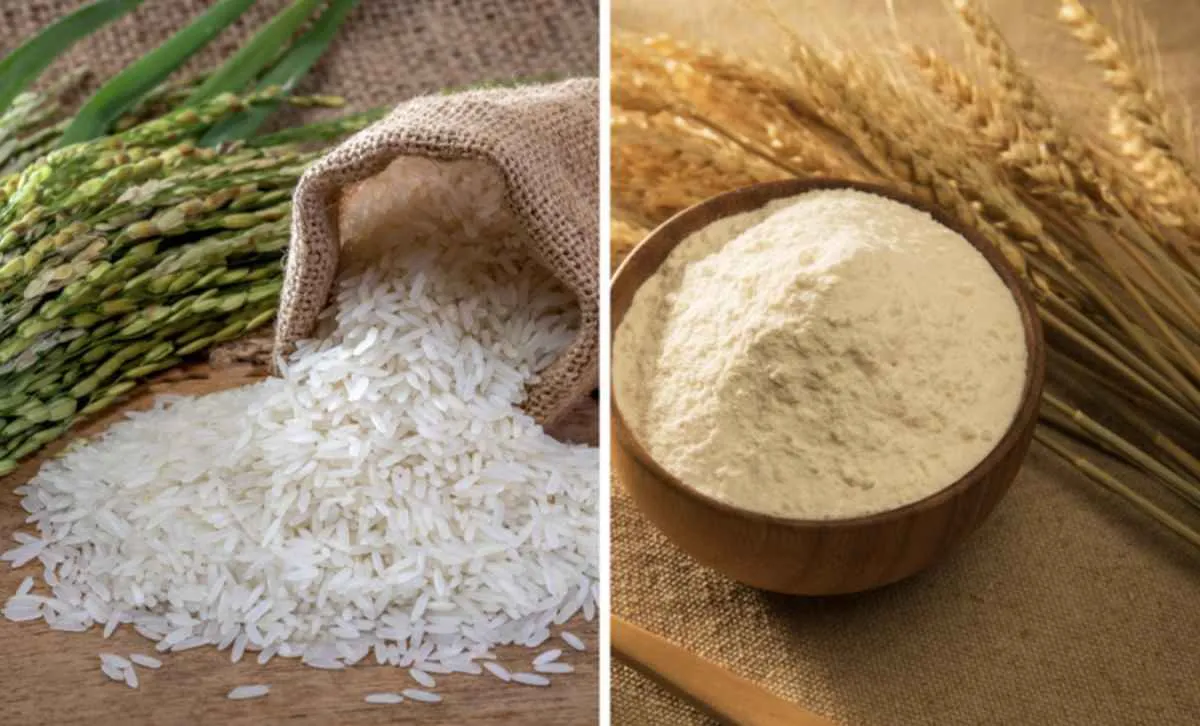 Governo anuncia até R$ 167 milhões para arroz e trigo