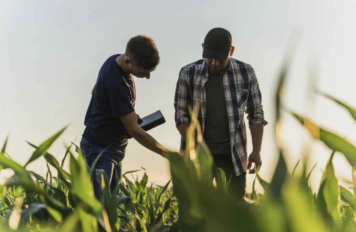 AgriHub Conecta 2026 conclui diagnóstico com produtores em MT
