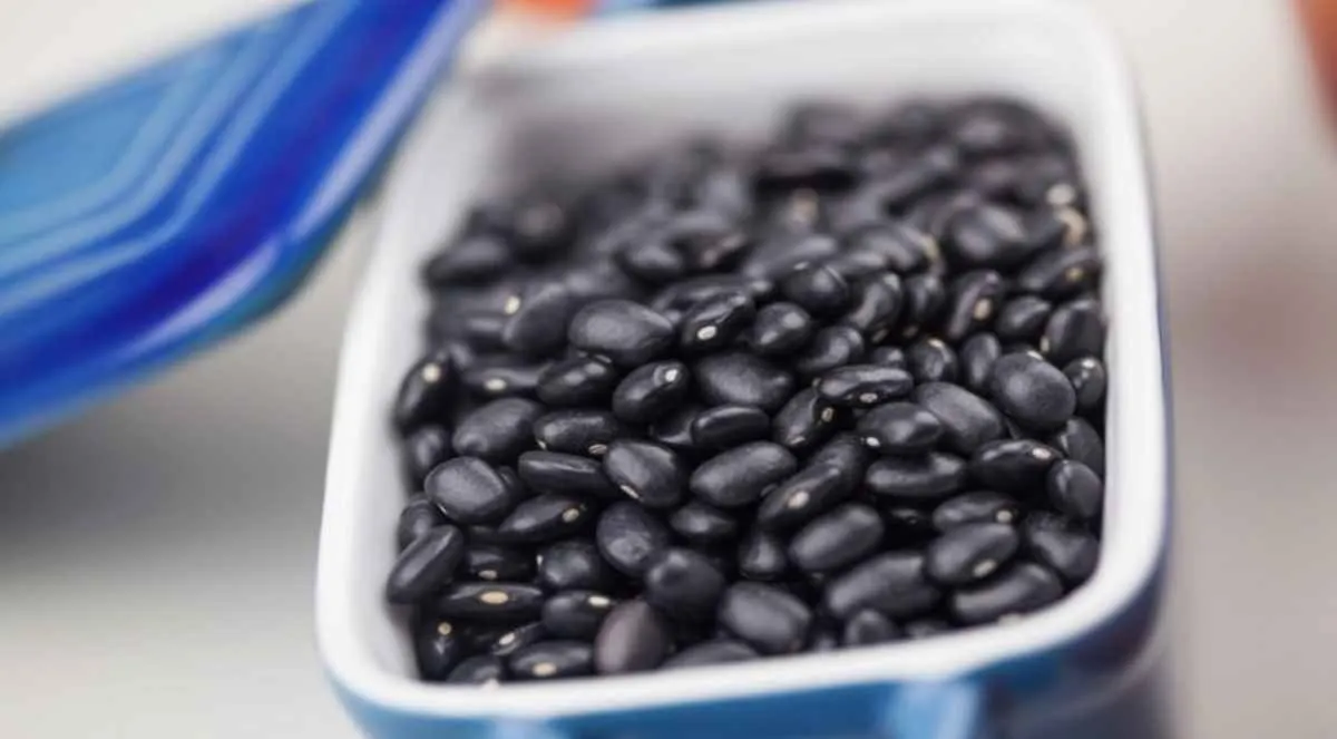 Oferta elevada mantém pressão e feijão segue em queda em novembro