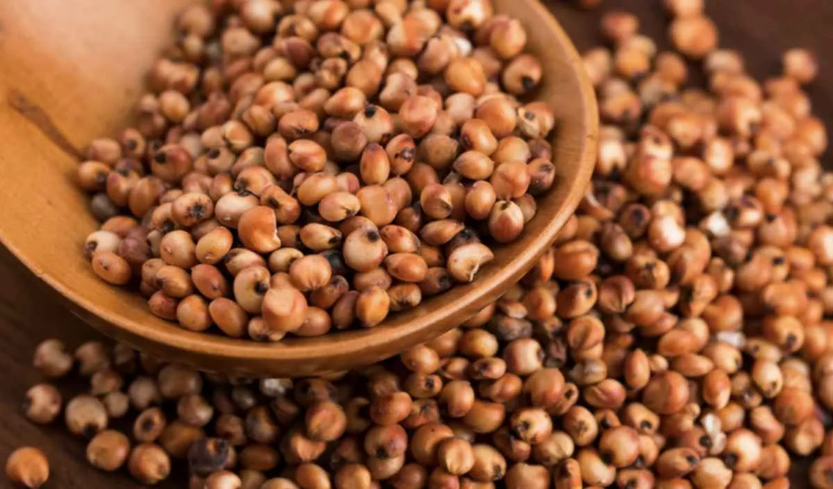 Aberturas de mercado avançam nos Emirados, Gana e Peru