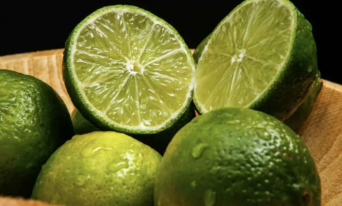 Preços do tahiti reagem no início de dezembro após forte queda