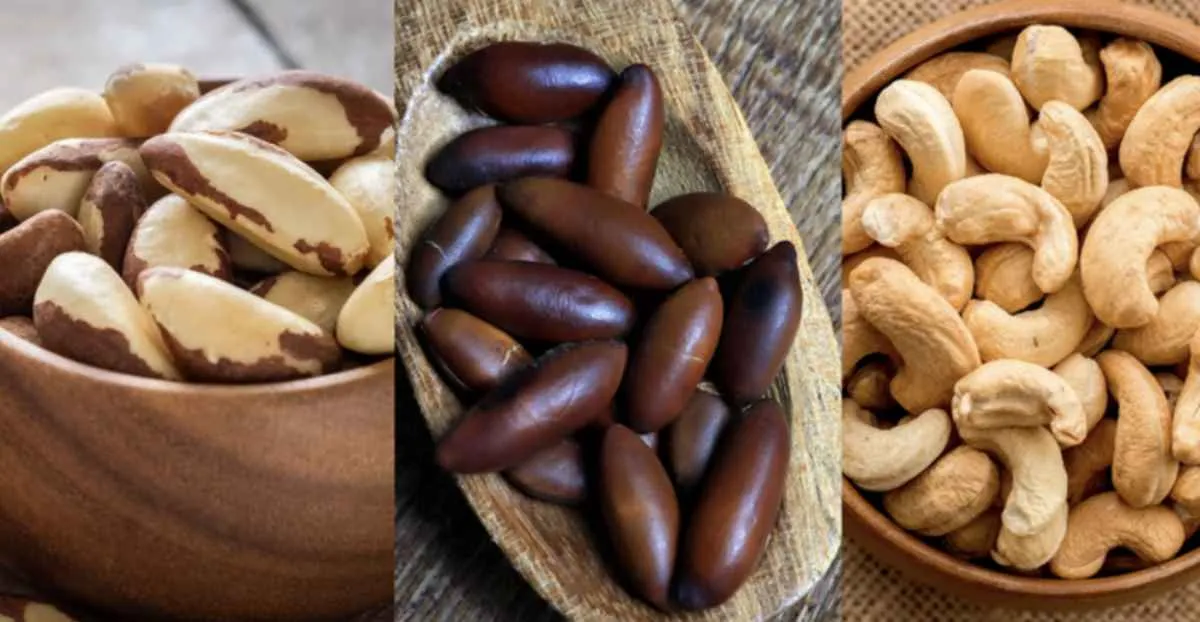 Apoio emergencial reforça estoques de mel e castanhas