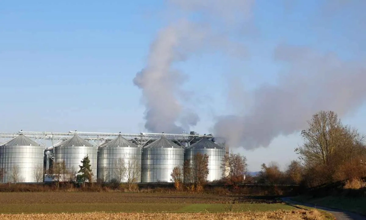 Produção agroindustrial cresce 0,8% em outubro e reduz perdas de 2025, aponta FGVAgro