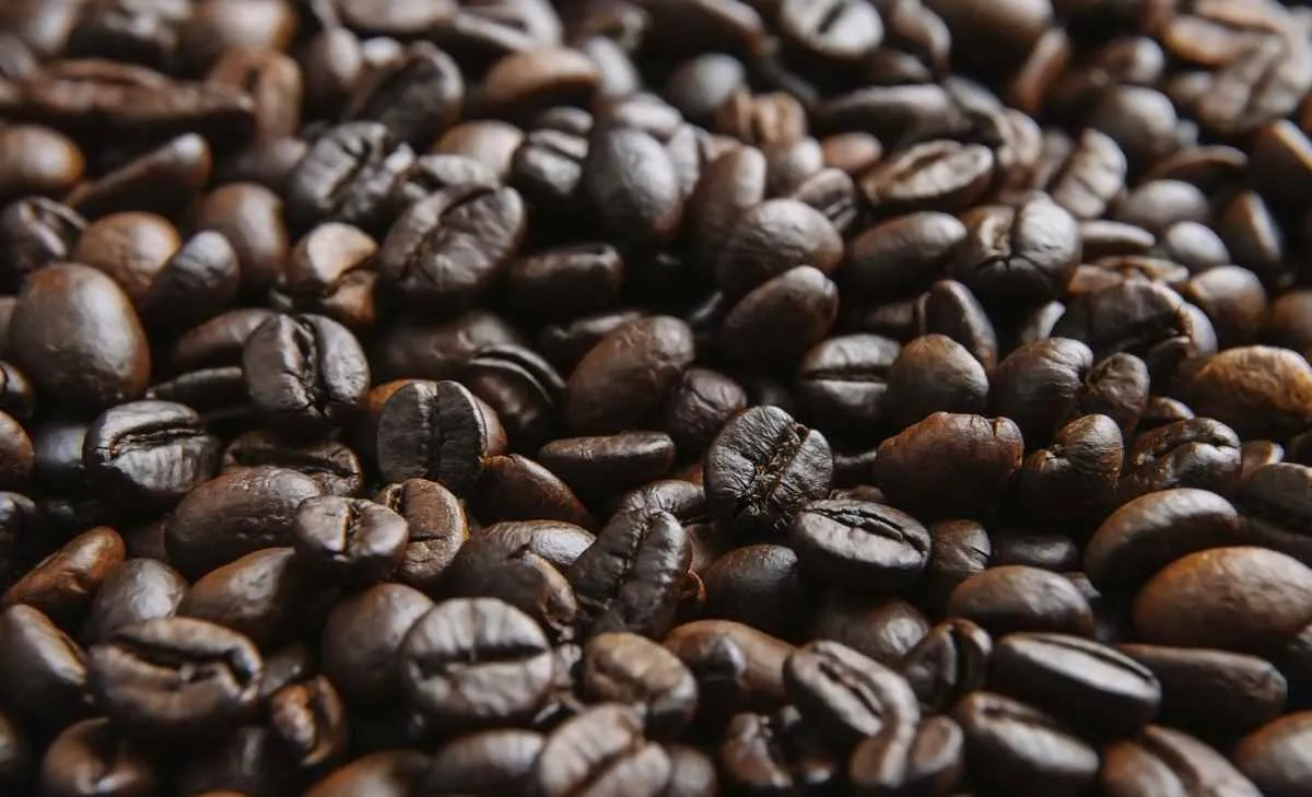 Safra de café 2026/27 no Brasil deve atingir até 74,4 mi sacas