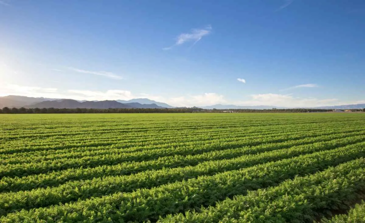 LDO protege recursos para seguro rural e defesa agropecuária