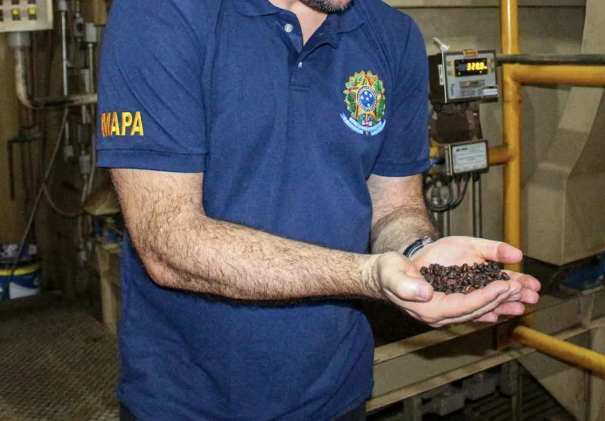 Por que tantas marcas de café foram proibidas em 2025? 