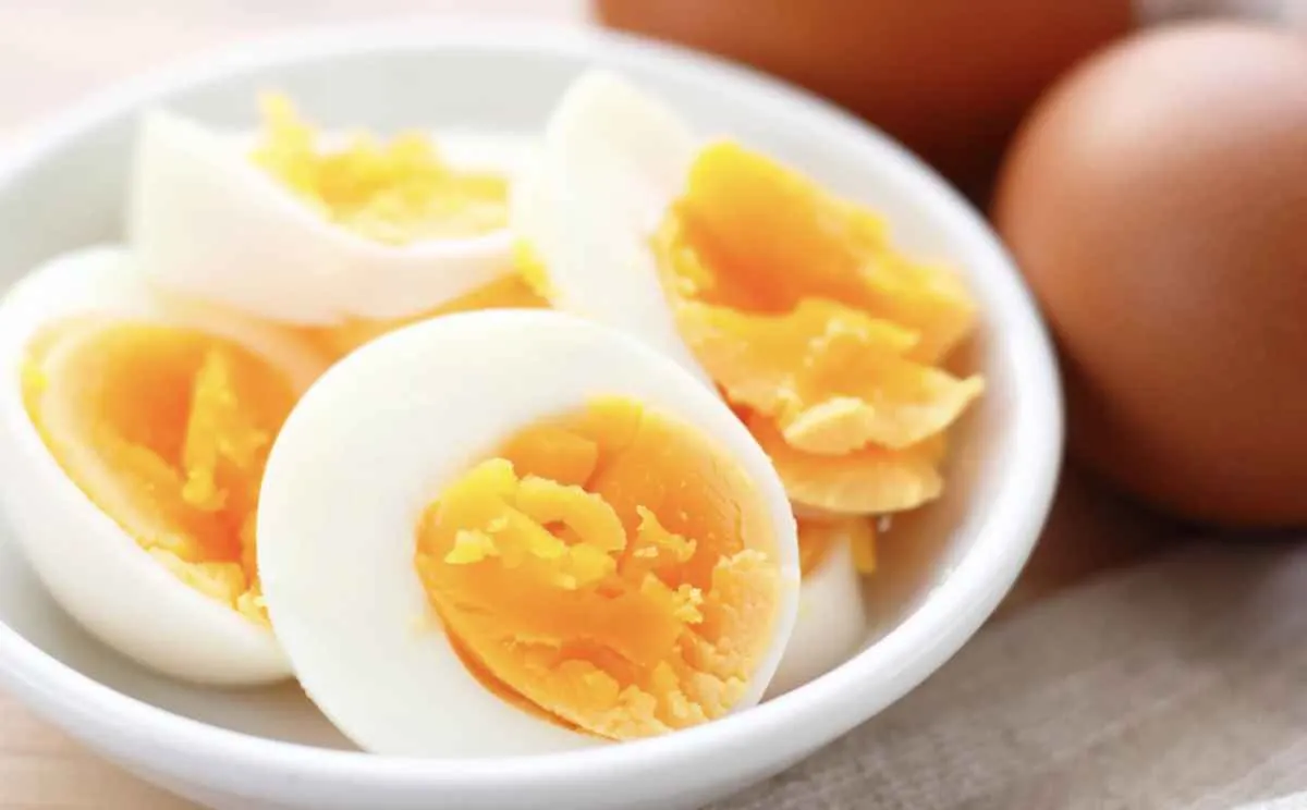 Ovo se consolida como aliado de hábitos mais saudáveis em 2026