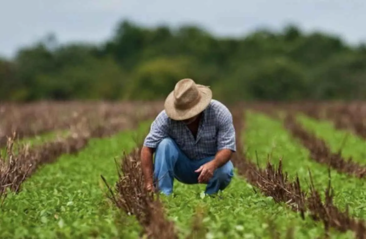 CMN prorroga restrição ambiental no crédito após atuação do Sistema FAEP