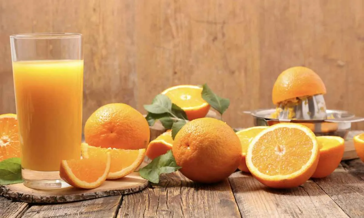 Exportações de suco de laranja mudam de rota na safra 2025/26