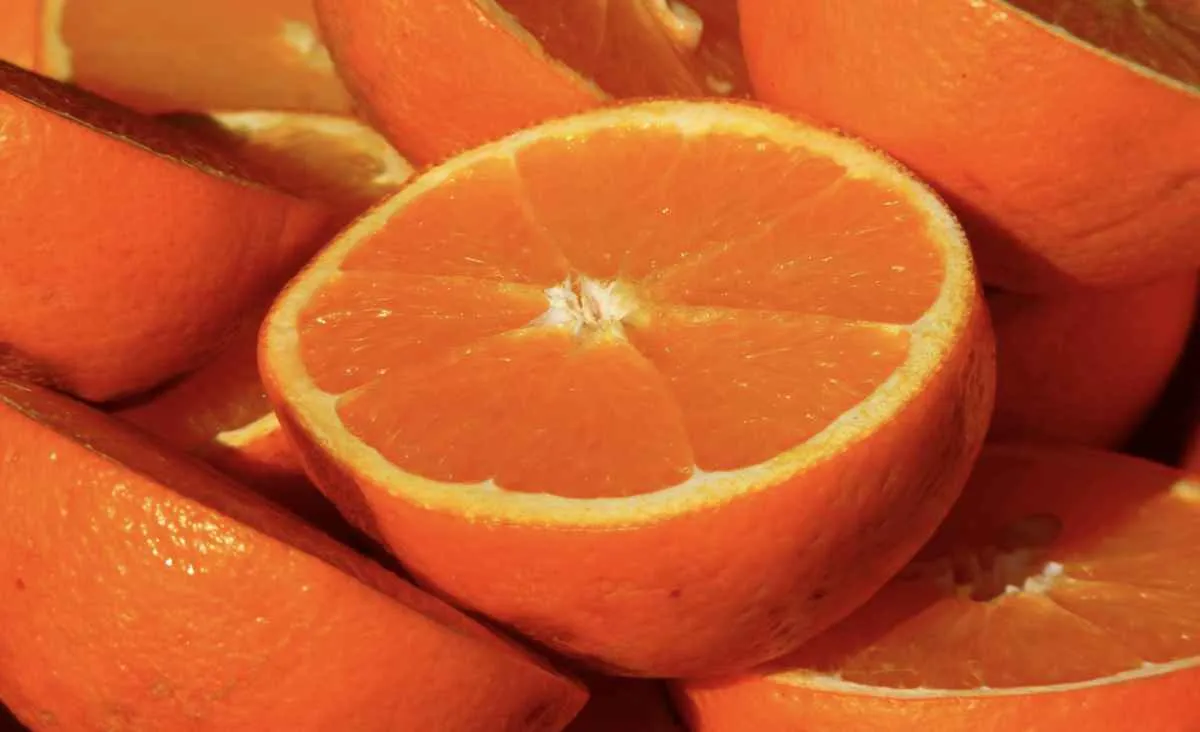 Safra 25/26 de laranja deve ficar abaixo de 300 mi caixas