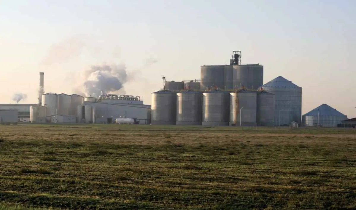 Safra 2025/26 tem menor oferta e preços firmes de etanol