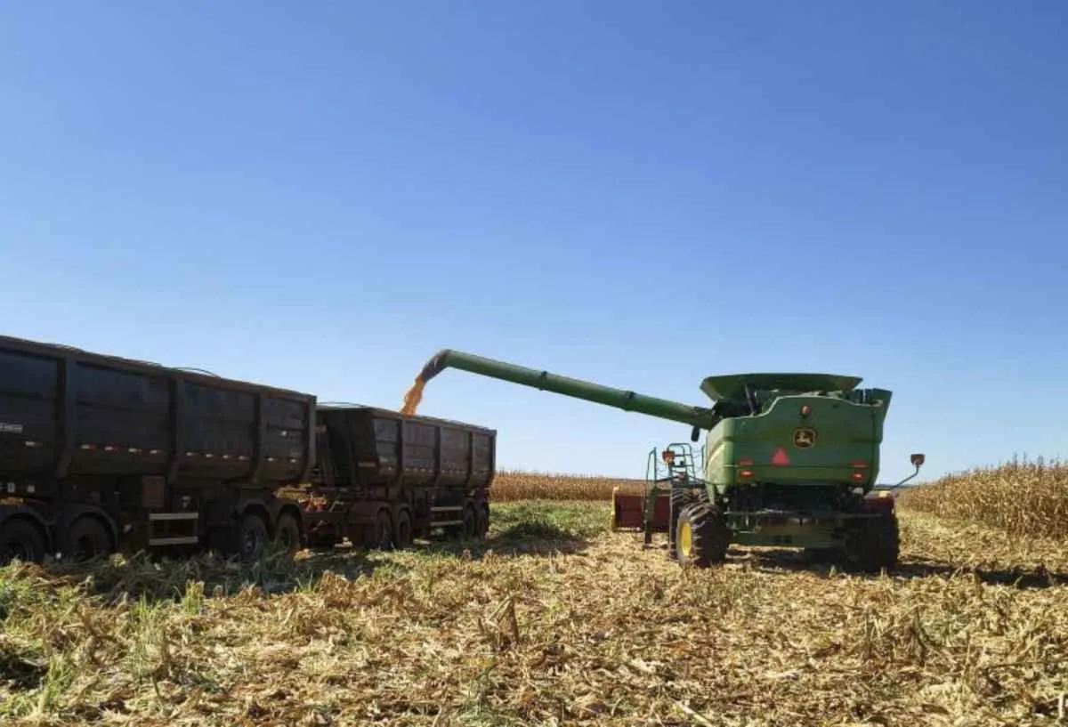 Valor Bruto da Produção sobe 26% em Mato Grosso do Sul
