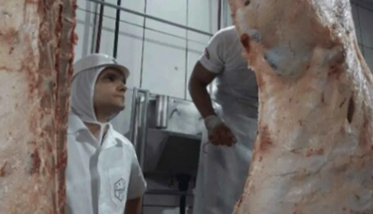 Agrodefesa define regras para autocontrole em produtos de origem animal