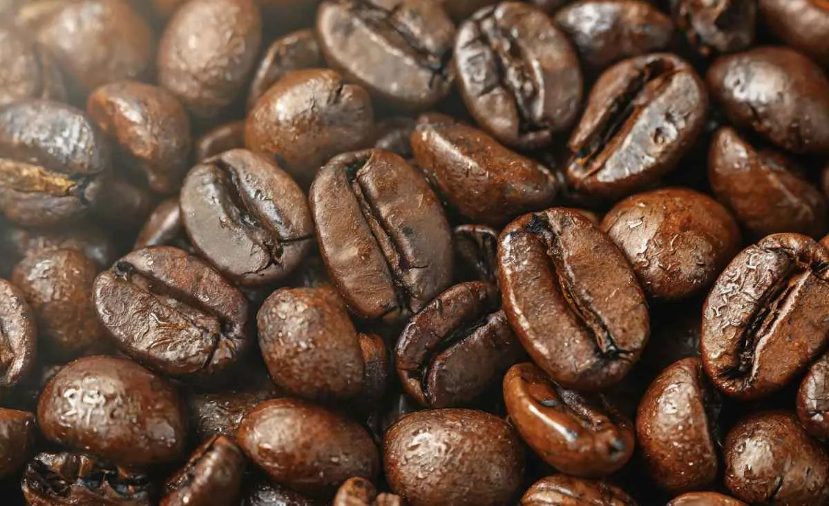 Oscilações marcam preços do café em novembro