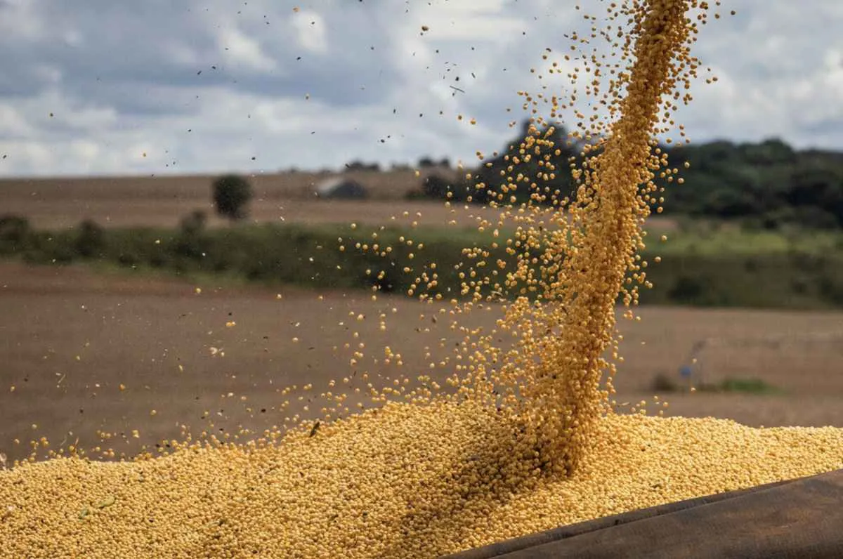 Agroindústria impulsiona PIB da cadeia da soja e do biodiesel no 3º trimestre