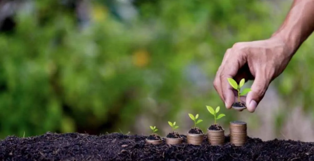 Congresso acelera propostas para dívidas rurais