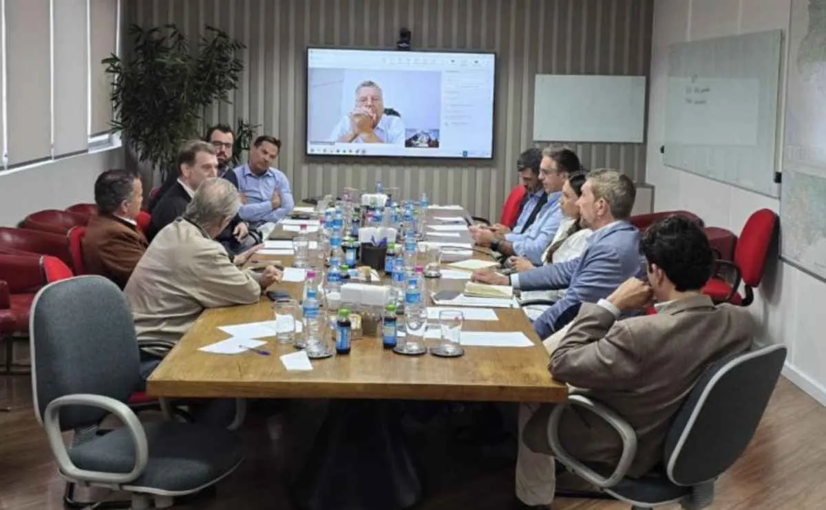 Algodão ganha articulação global contra avanço das fibras sintéticas