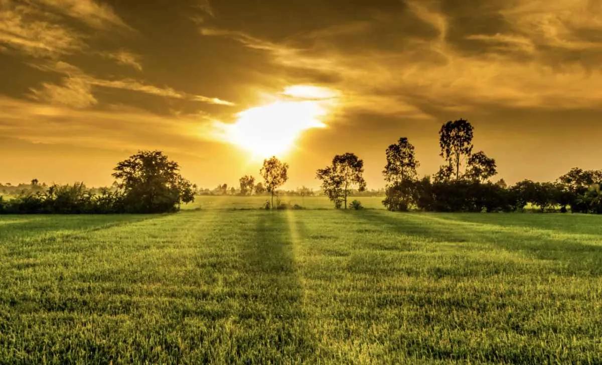 Como será o clima no Brasil em janeiro?