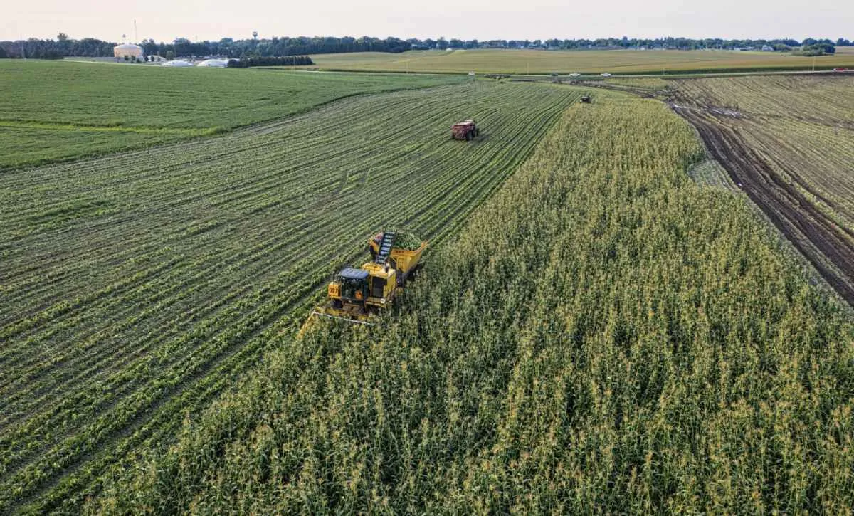 Produtor do RS fecha 2025 com renda menor