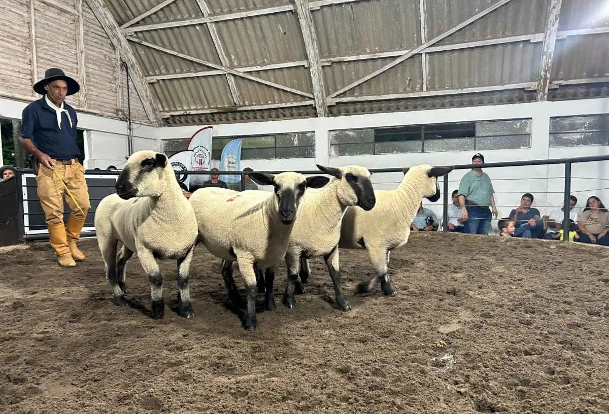 Agrovino encerra 18ª edição com R$ 1,416 milhão em negócios