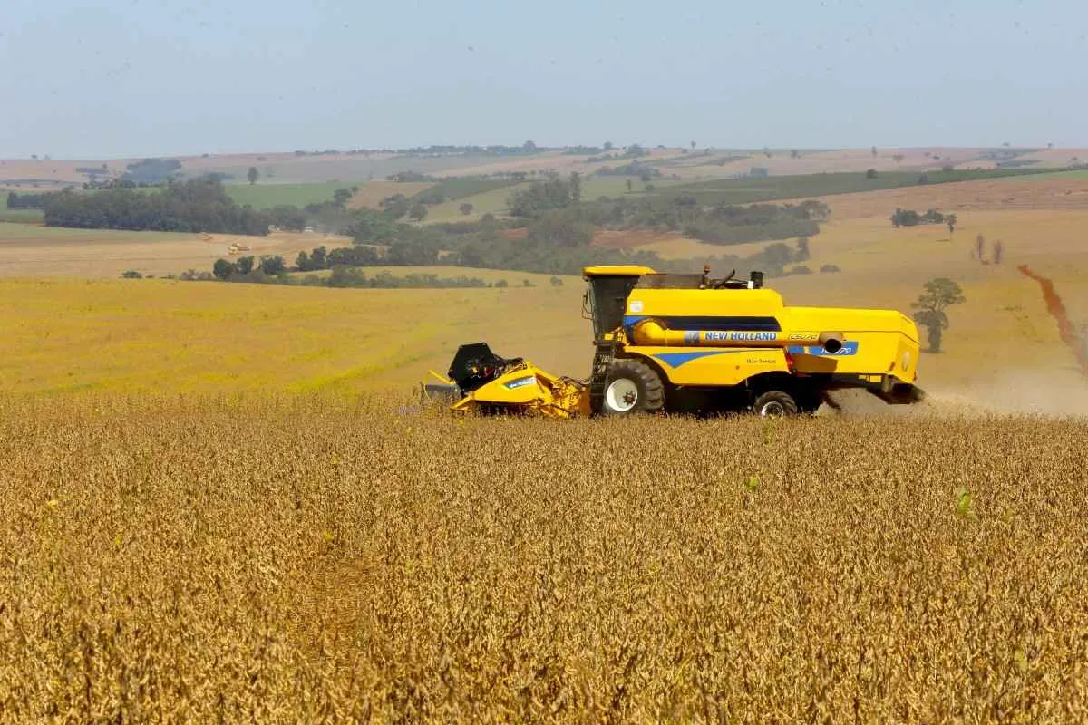 Safra ganha volume e reforça cenário positivo no Paraná