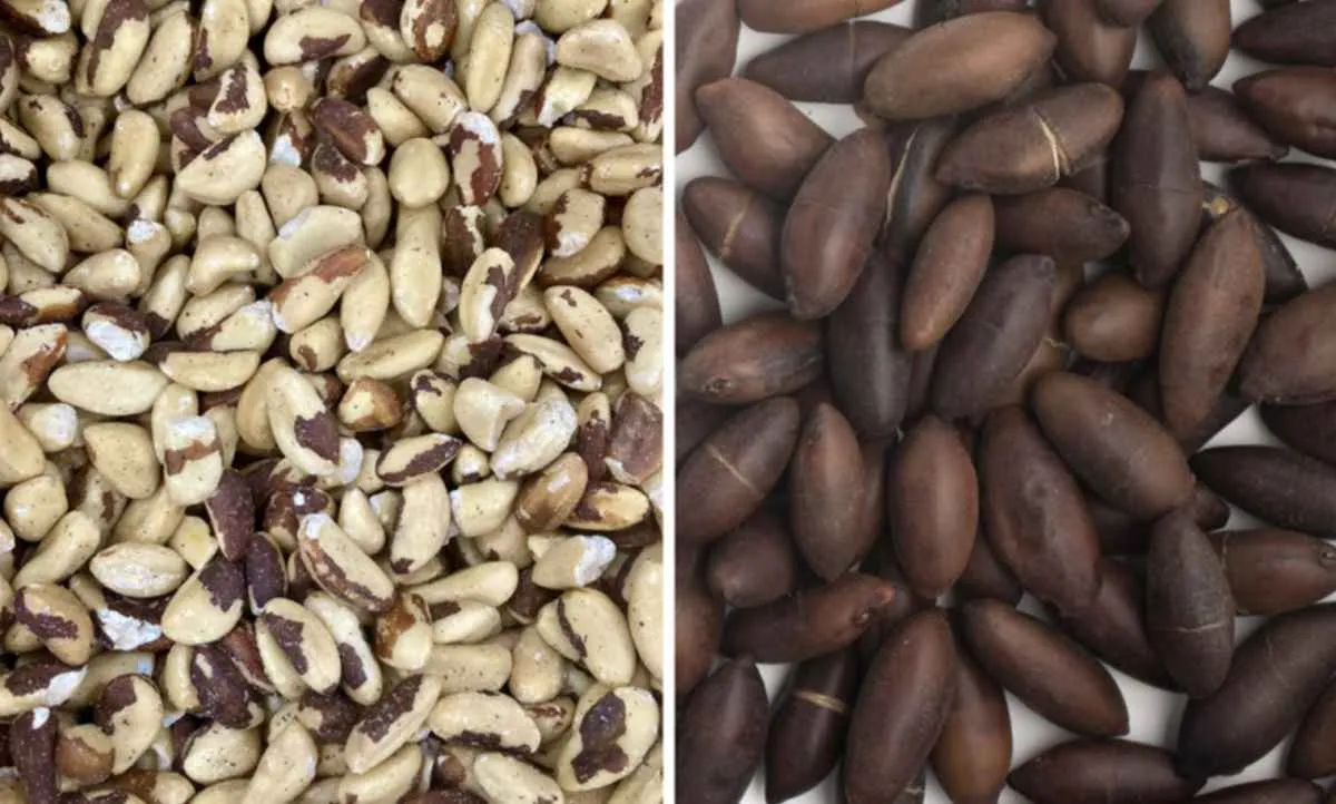 Aberturas de mercado avançam na Ásia para o agro