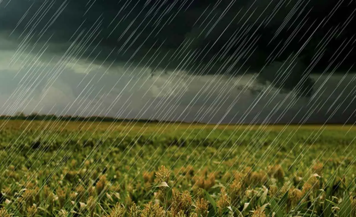 Veto ao orçamento do seguro rural coloca o agro em risco, afirma Sistema FAEP