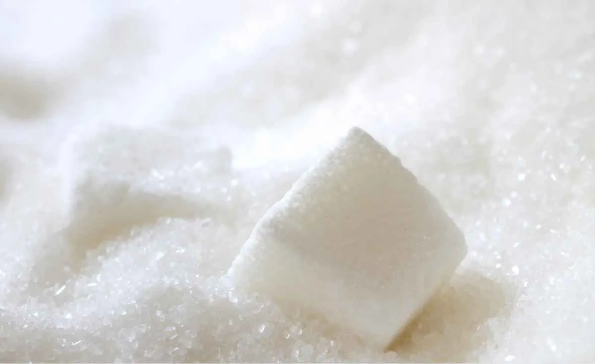 Mercado global do açúcar em 2025 tem queda de preços e volatilidade