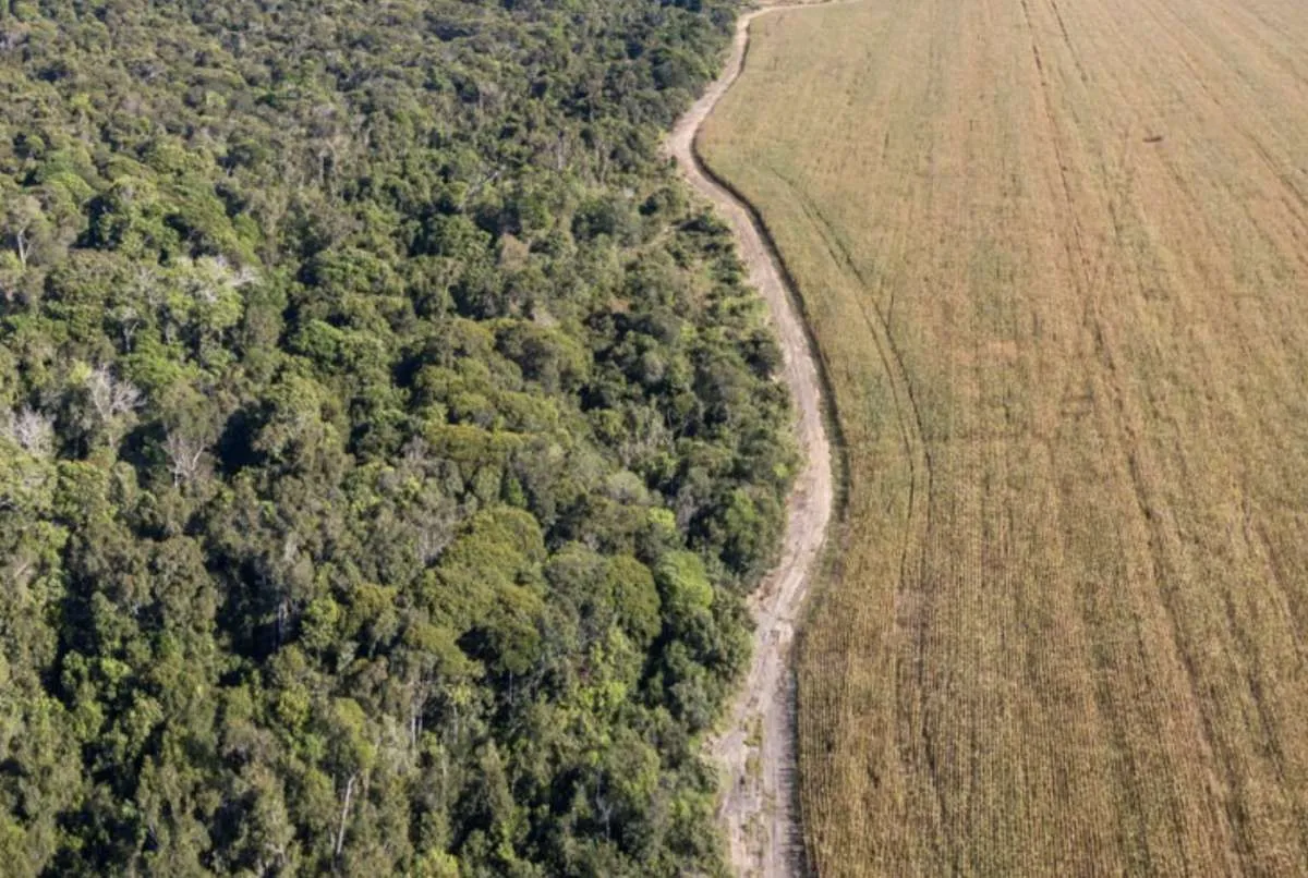 Sistema FAEP reage a veto presidencial e defende segurança jurídica na faixa de fronteira