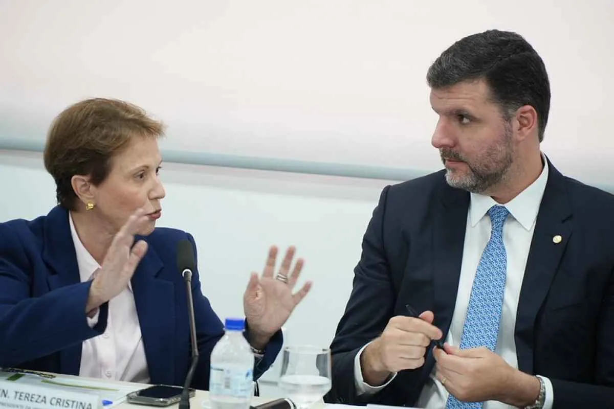 Lei da Reciprocidade fortalece defesa dos produtos brasileiros