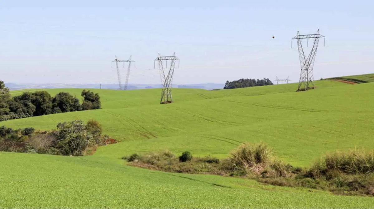 Lei que transfere limpeza da rede elétrica ao produtor é inadequada, diz FAEP
