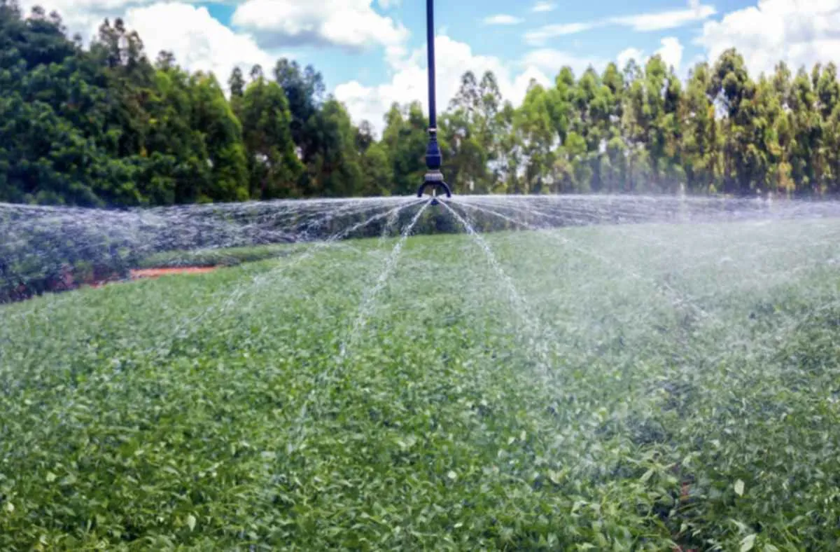 CNA quer que produtor escolha horário do desconto na energia