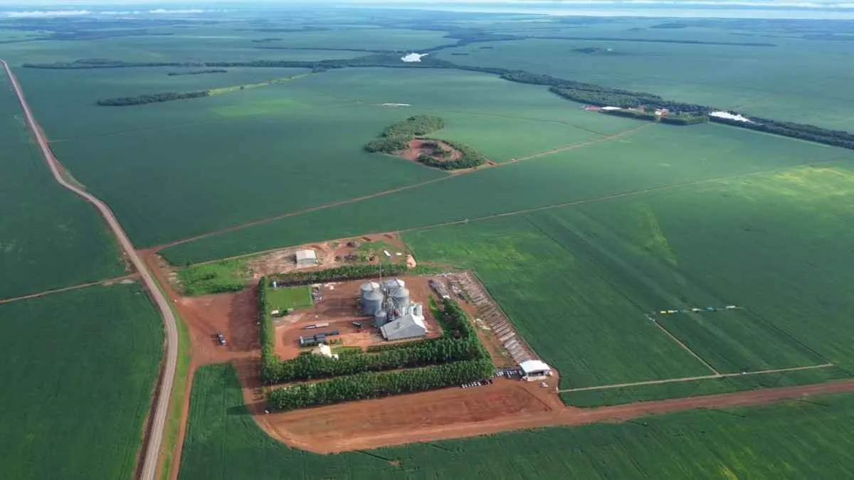 Abertura da colheita de soja destaca força da safra 2025/2026