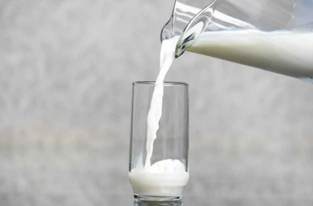 CNA quer proibir termos lácteos em produtos vegetais