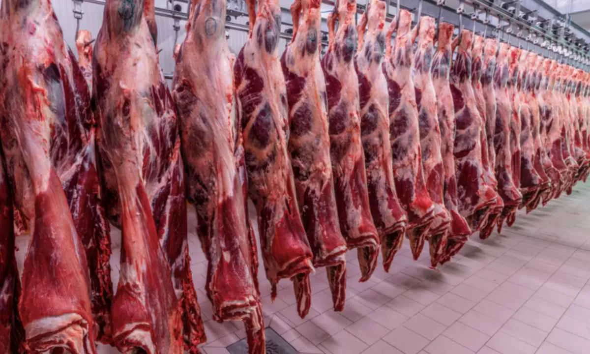 Vietnã amplia compras de carne bovina e dobra número de frigoríficos brasileiros habilitados